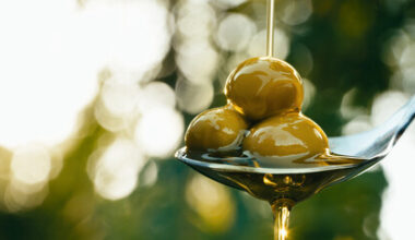 Olives used to predict oil quality before extraction