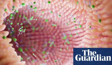 Gut microbiome can reveal risk of Parkinson’s, scientists say | Parkinson's disease