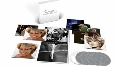 Something Beautiful Remains: Tina Turner's Penultimate Studio Album 'Wildest Dreams' Gets Deluxe Reissue