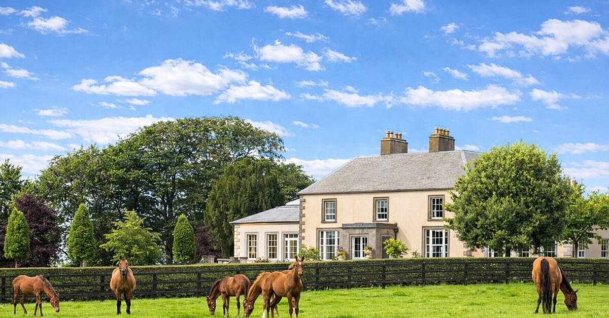 Three country estates showcasing Ireland’s equestrian tradition