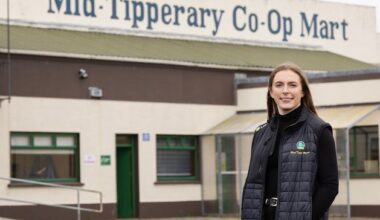 The mart is about more than cattle – it’s a social lifeline for Rural Ireland