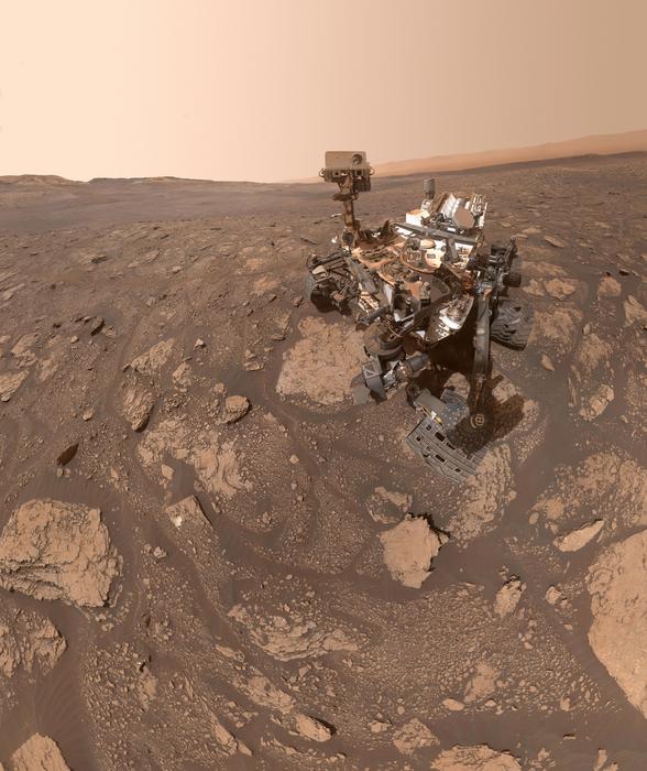 Curiosity selfie