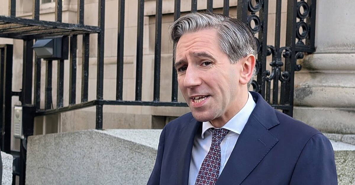 Tánaiste warns of risk of stagflation to Irish economy