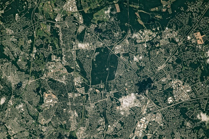 Belts of Green in the Washington Suburbs