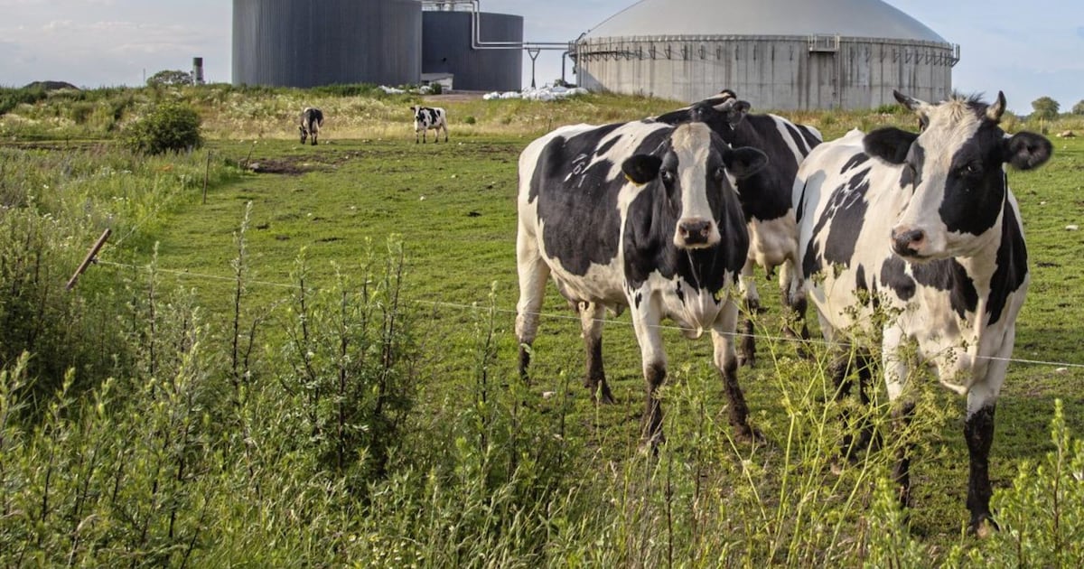 Sorry, but we can’t just recycle our slurry problem away – The Irish News