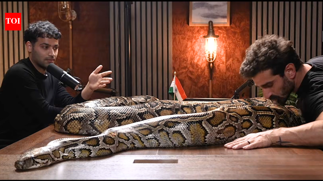 Python in a podcast: Raj Shamani’s Figuring Out features an invasive guest as American explorer brings a live snake |