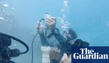 Soundtrack of the sea: divers use underwater speakers to help dying coral reefs | Coral