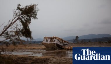 Mud-rich coastline made 2011 Japan tsunami far more destructive, study finds | Japan disaster