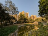 Ultra-wide camera: Pixel 9a (14mm, f/2.2, ISO 45, 1/1355s, 4000x3000px)