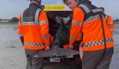 Dolphin rescued and brought to safety after struggling off Dublin’s Sandymount Strand