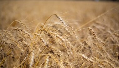 'Recovering farmer' advocates for mental health support in agriculture
