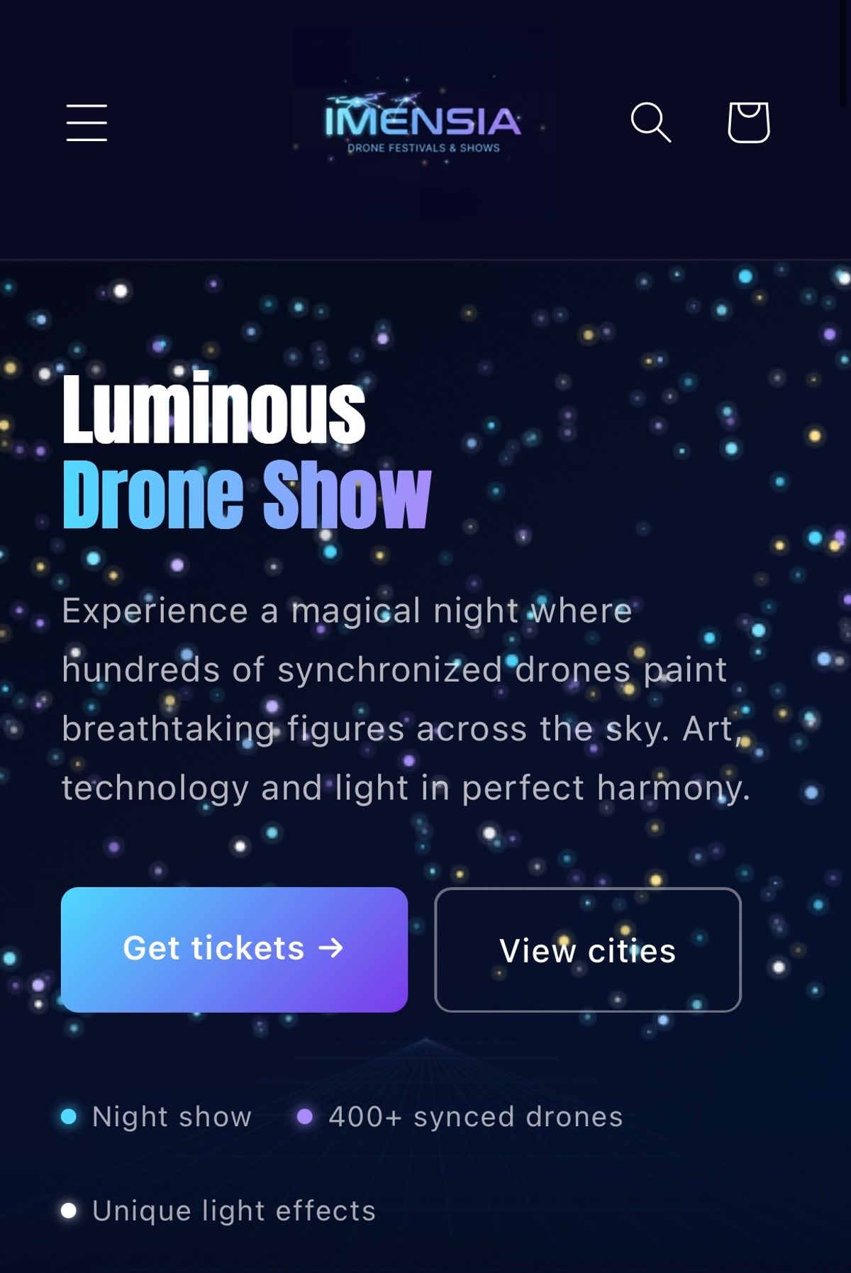 The scam website