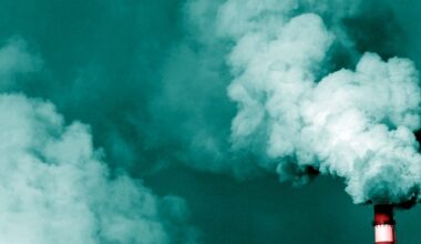 Whistleblowers Allege Big Problems With Corporate Carbon Standards-Setter