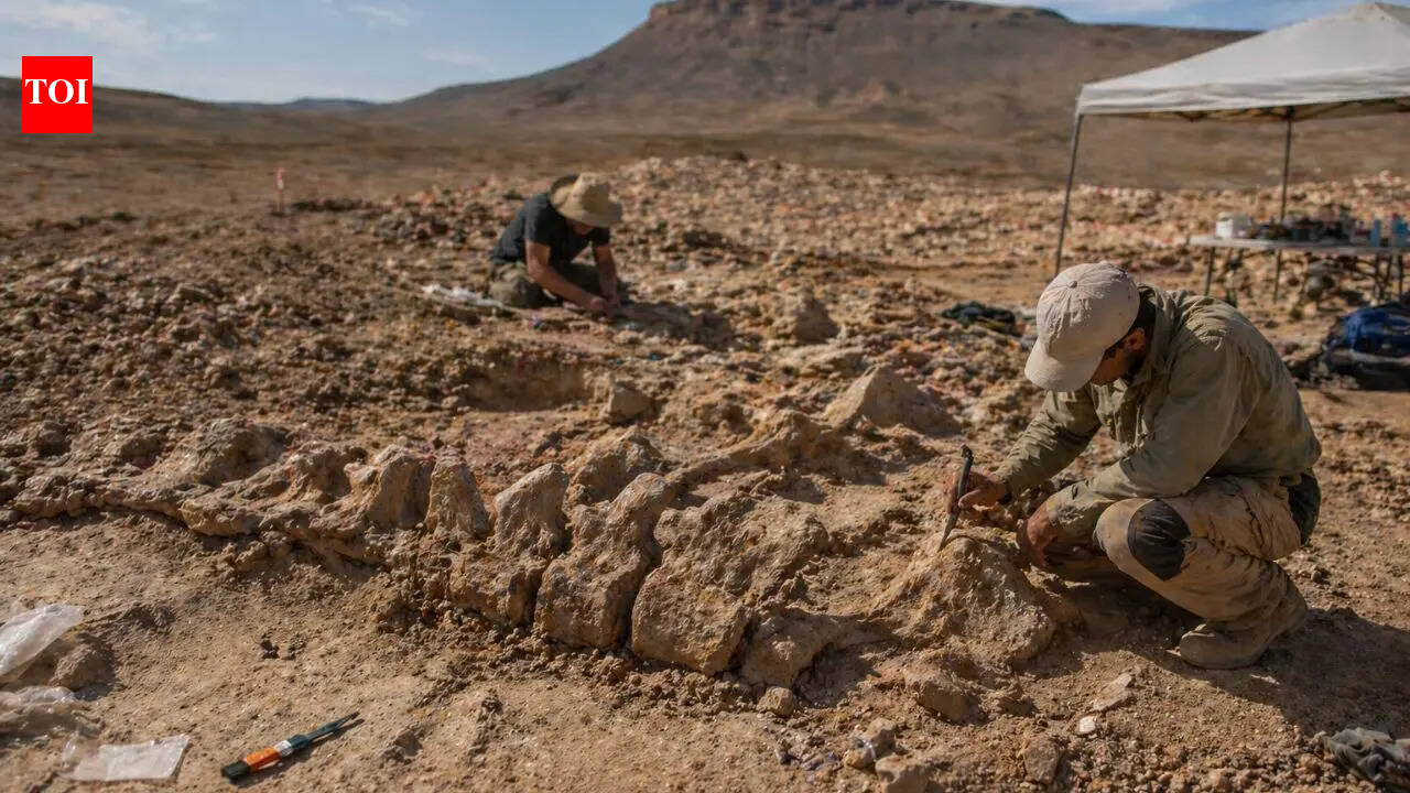 A 70-million-year-old Moroccan fossil reveals "dinosaur highways" across continents |