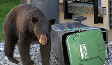 Yahoo lifestyle home