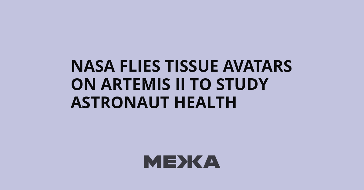 NASA flies tissue avatars on Artemis II to study astronaut health | Ukraine news