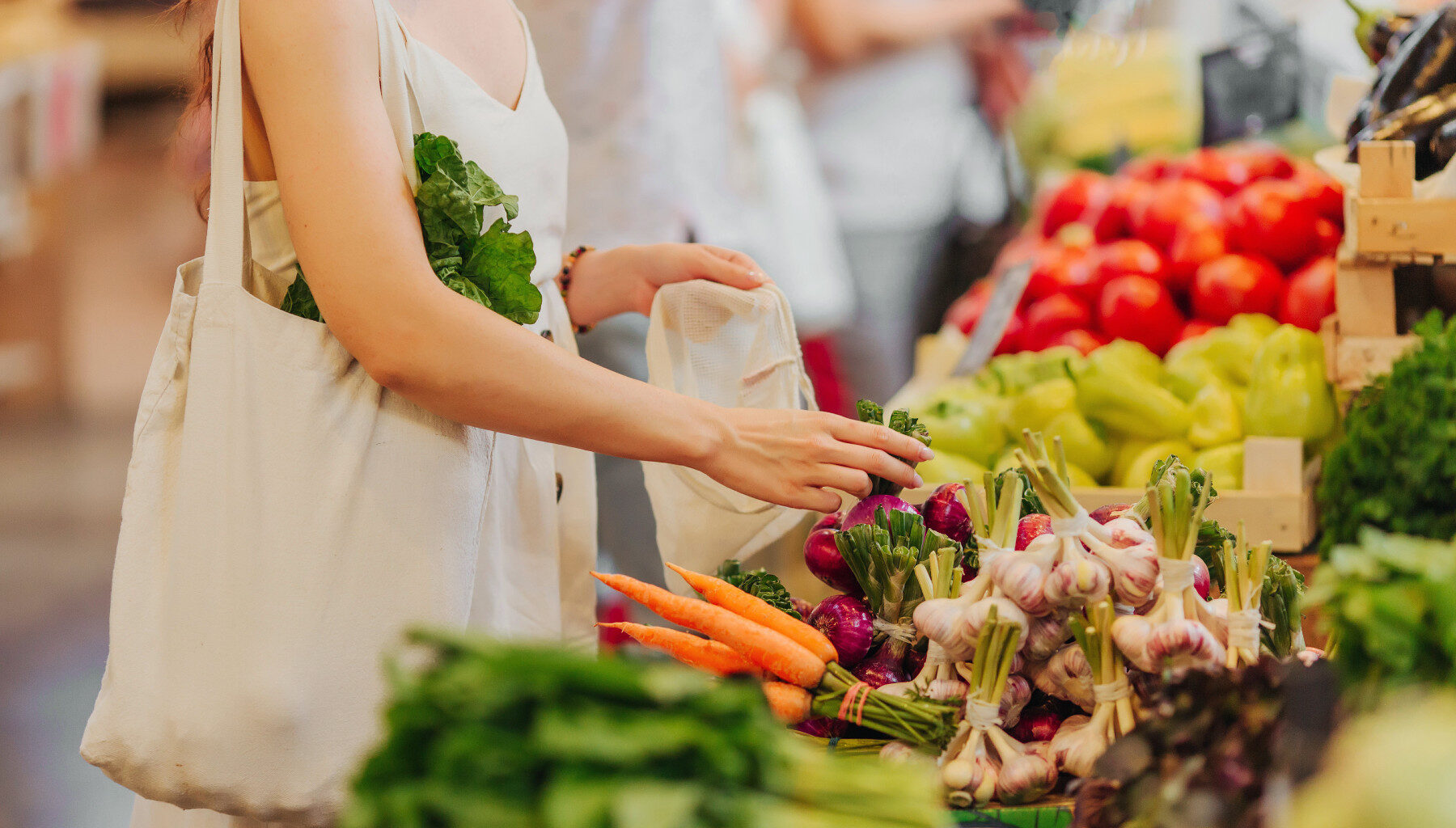 AdobeStock_282928503