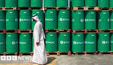 Faisal Islam: Why the UAE's exit from Opec is a big deal - BBC