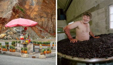 35 Stunning Photos From the 2026 World Food Photography Awards Shortlist