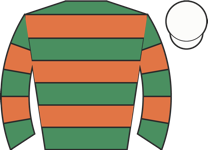 Horse silk