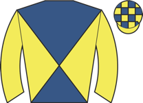 Horse silk