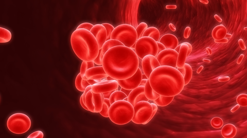 Screenshot 2026-04-08 160007