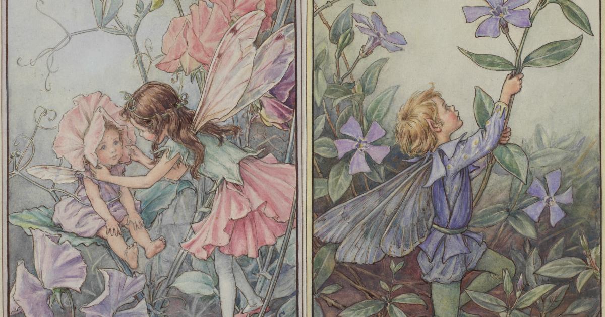 Museum unveils Flower Fairies and Dorset views exhibition
