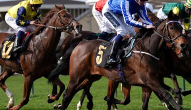 Darn Hot Gallop gets green light for Guineas bid