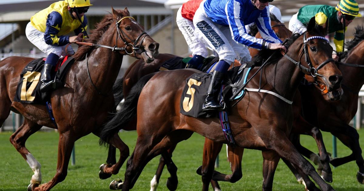 Darn Hot Gallop gets green light for Guineas bid