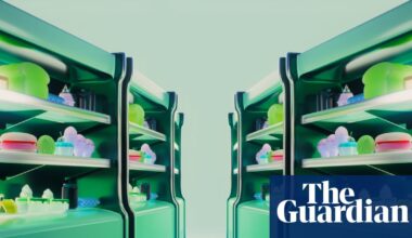 My family tried to eat fewer ultra-processed foods for five years. Here’s what we learned | Well actually