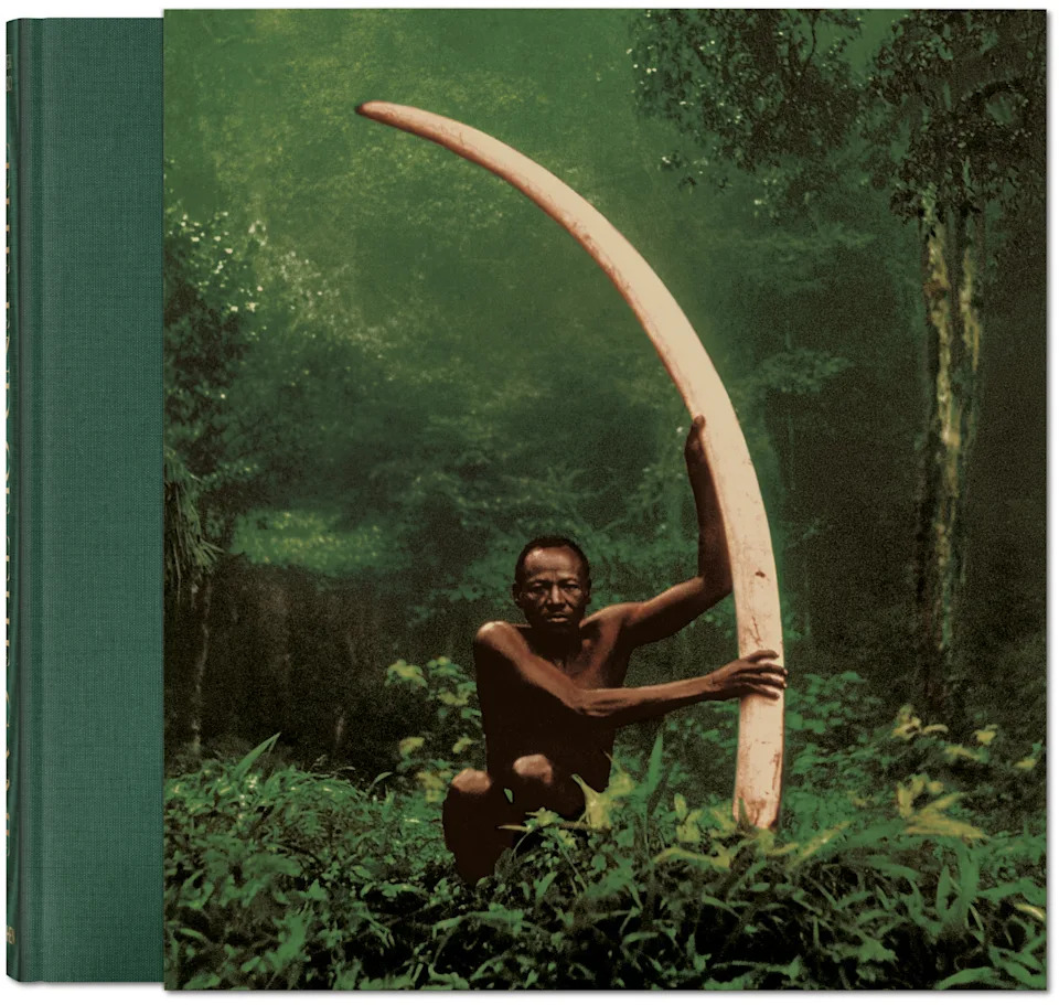 A color photograph of a man in a lush forest holding a massive, curved elephant tusk that towers over him.