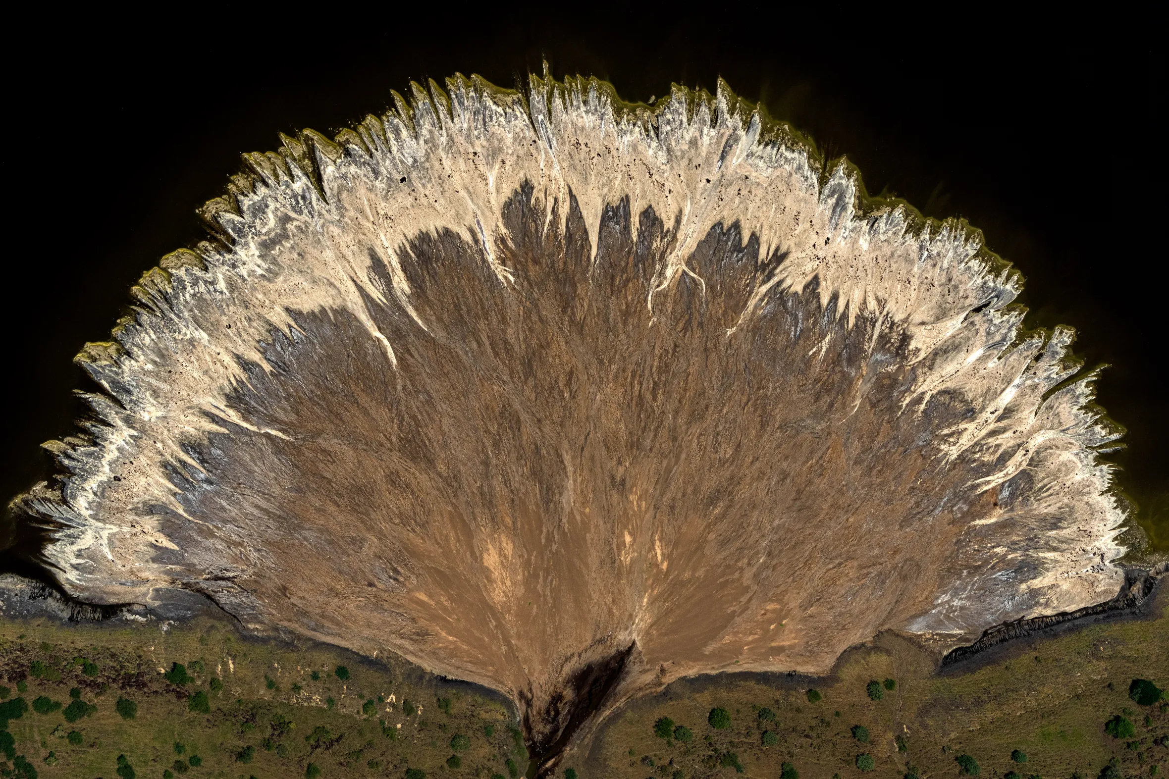 An aerial view of a fan-shaped formation of dried mud and sediment fanning out into dark water, with green vegetation along the bottom edge.