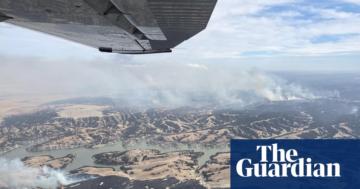 ‘Nothing but tree skeletons’: record-breaking wildfires devastate US cattle country | US wildfires