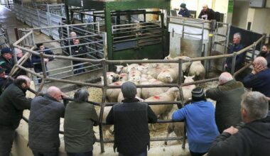 New inheritance tax regime from 6 April