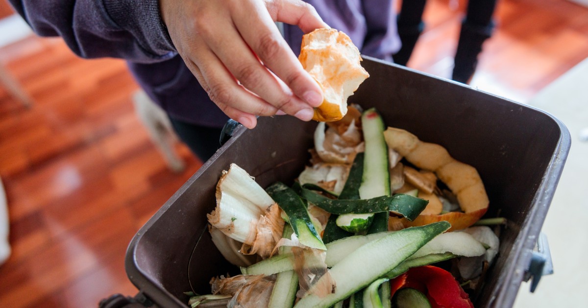 10 Best Compost Bins for Every Space in 2026