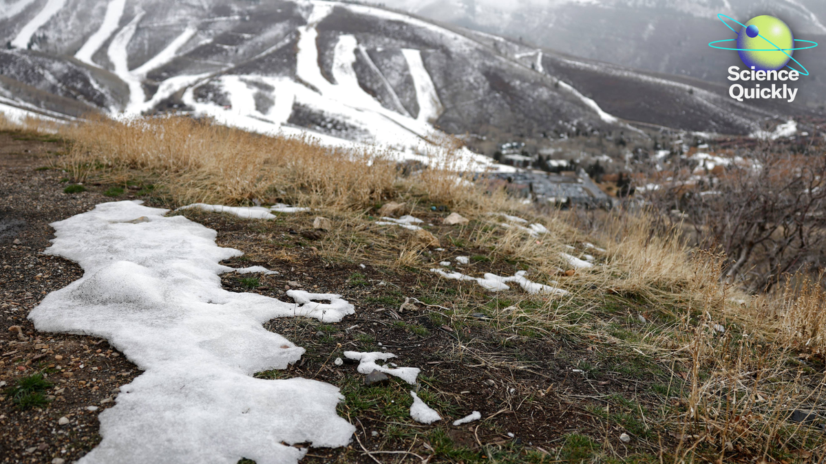 NASA’s Artemis II, endangered species and oil, low western U.S. snowpack