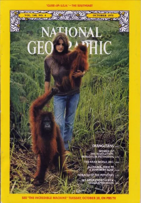 National Geographic magazine cover featuring a woman with two orangutans.