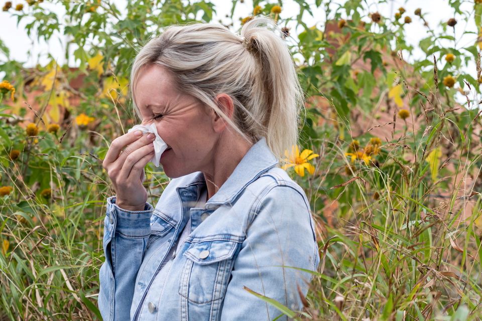 More pollen means more allergic reactions. Photo: Getty