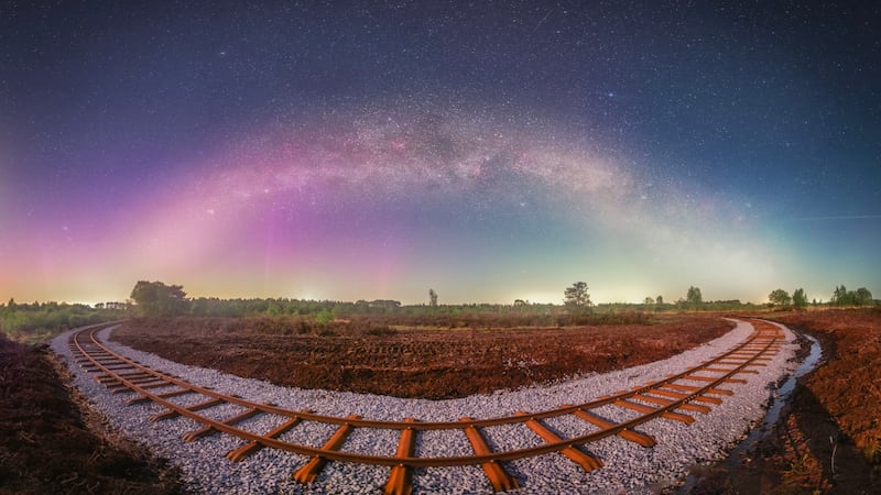 Symmetry, by Anthony Lynch, winner of the Public Choice award