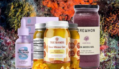 An Expert Guide to Sea Moss: Experts Weigh In