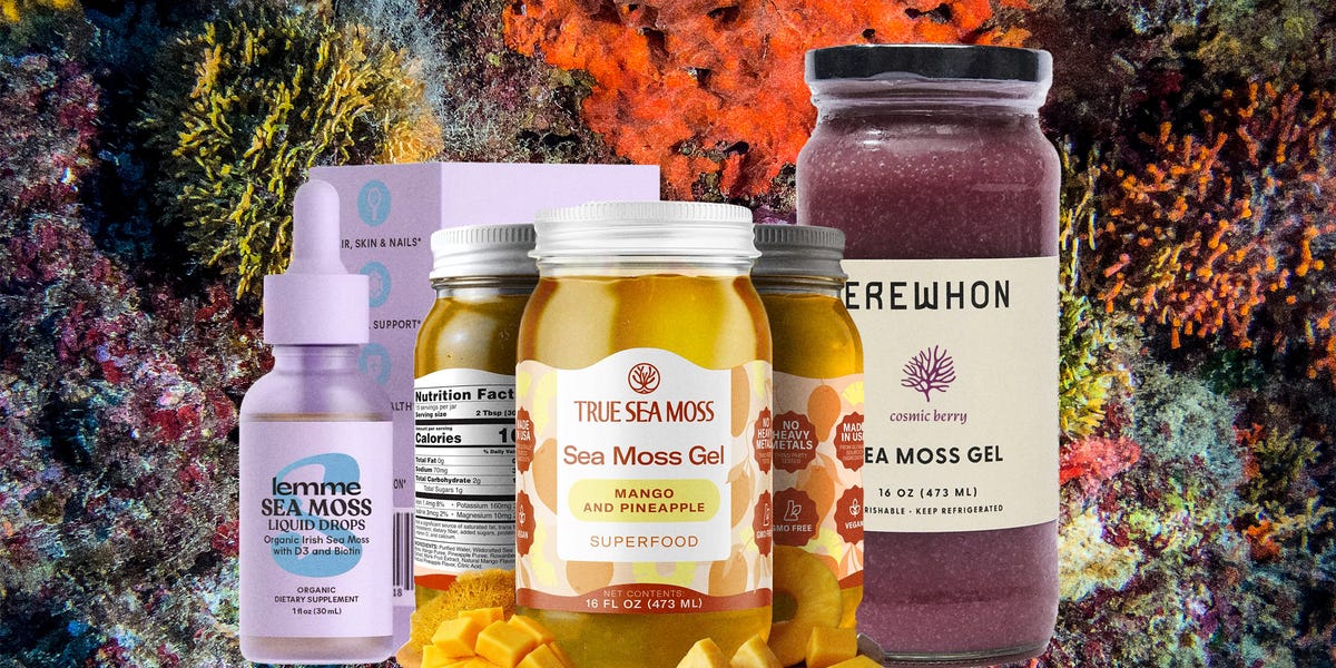 An Expert Guide to Sea Moss: Experts Weigh In