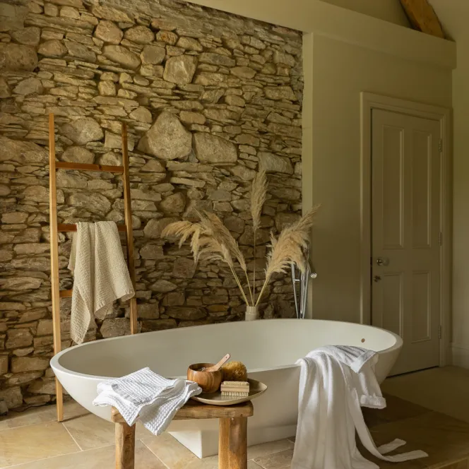 NINTCHDBPICT001071247818