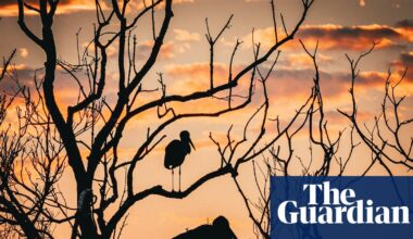 Wildlife and humans thriving in Unesco-protected sites | Unesco