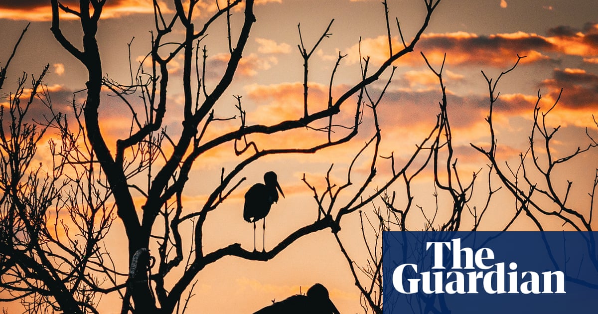 Wildlife and humans thriving in Unesco-protected sites | Unesco
