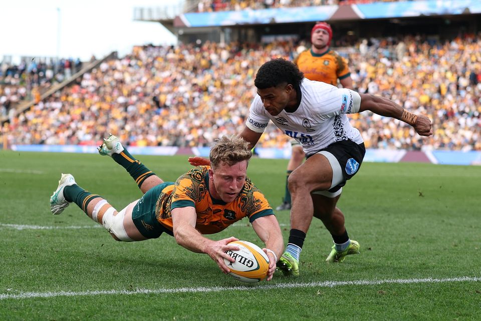 David Porecki of the Wallabies scores a try during the international against  Fiji at McDonald Jones Stadium in Newcastle, Australia. Photo: Getty Images