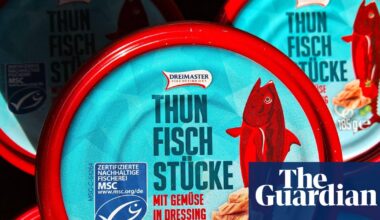 MSC’s ‘blue tick’ scheme creates illusion of ethically sourced fish, study claims | Fishing