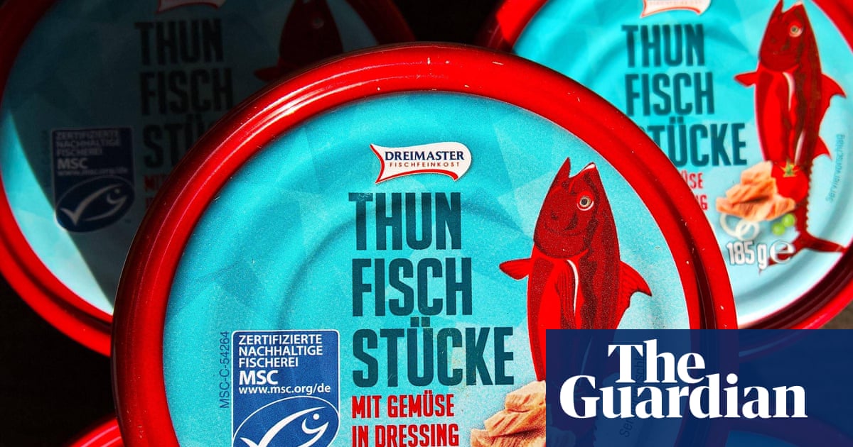 MSC’s ‘blue tick’ scheme creates illusion of ethically sourced fish, study claims | Fishing