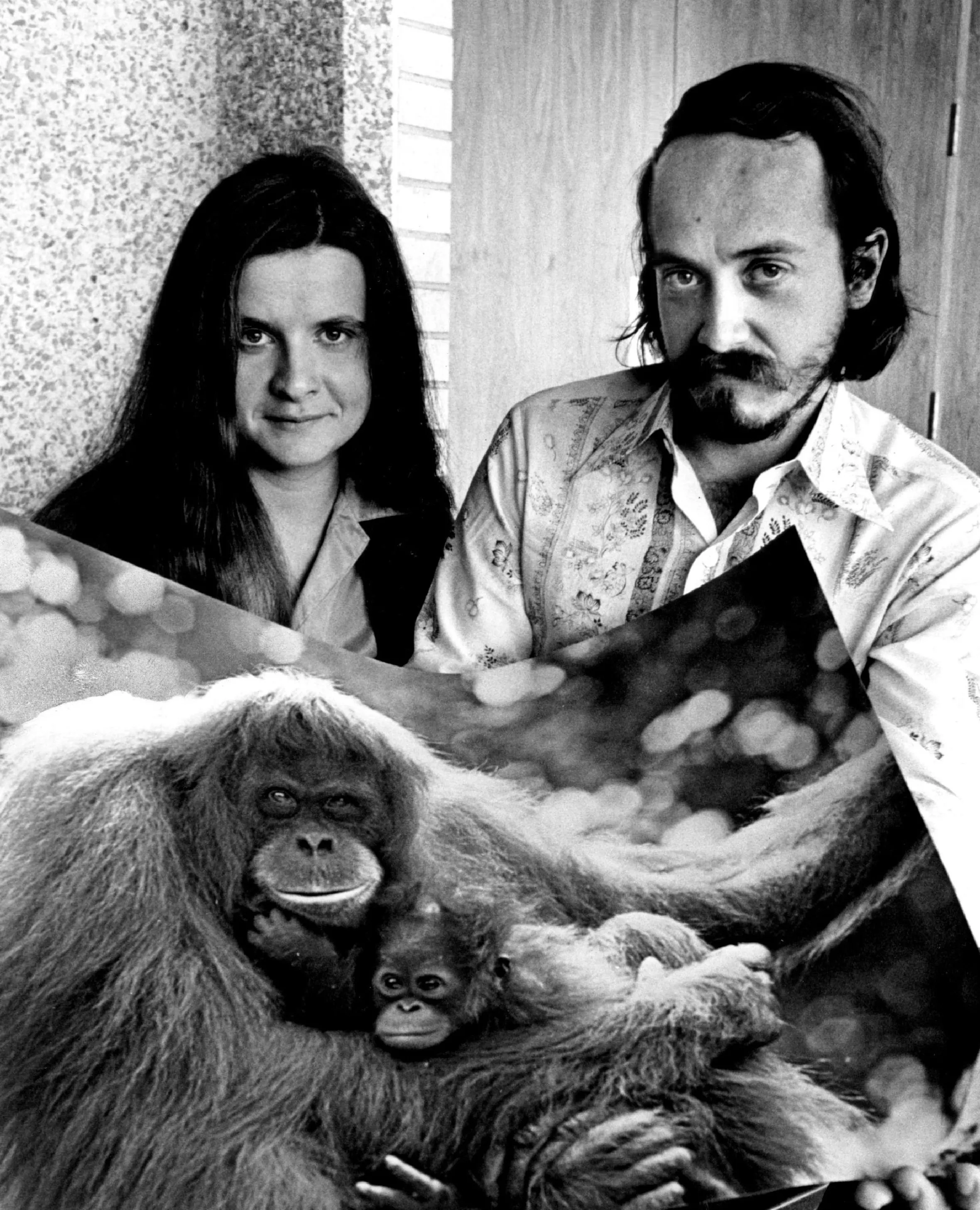 Birute Galdikas and Rod Brindamour holding a poster of an orangutan mother and baby.