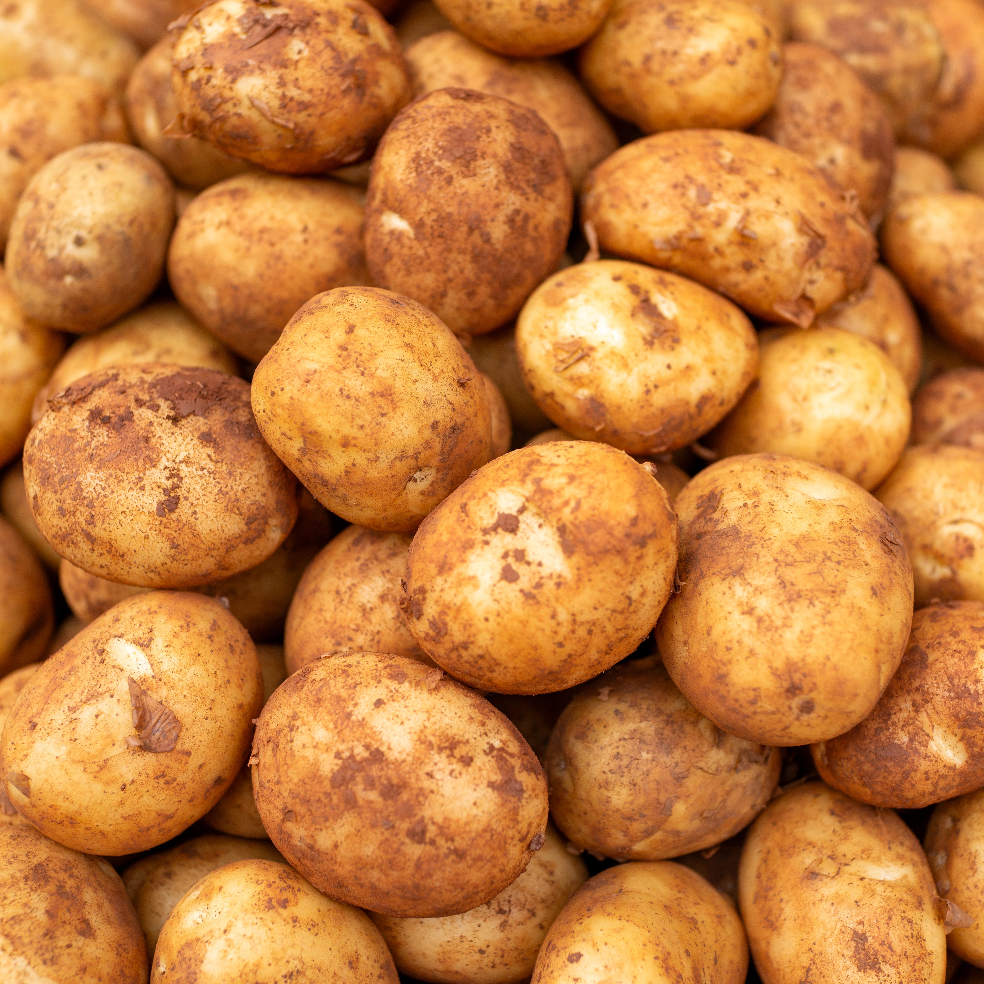 Raw, mud-covered potatoes sold at a street market.
