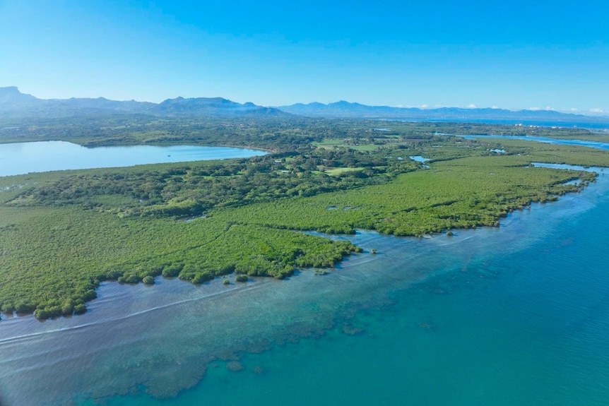 A coastline is lined with green trees and crystal blue water stretches into the distance along it